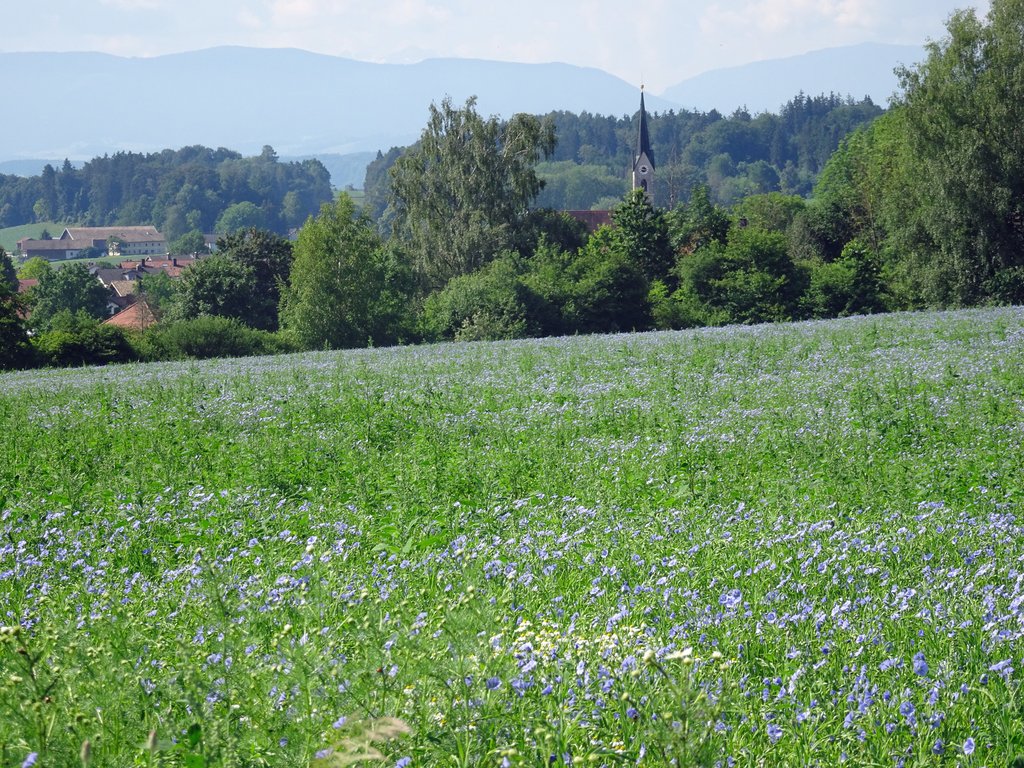 „Bio-Erlebnisse 2026“ im Juni - Cover Image